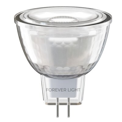 Żarówka LED FOREVER LIGHT RTV9000069 2.2W G4