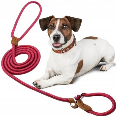 Smycz Półzaciskowa XL Petstory 150cm - Czerwony/Niebieski Nylon