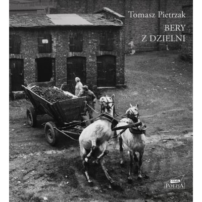 Bery z dzielni Tomasz Pietrzak