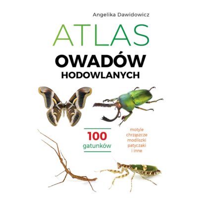 Atlas owadów hodowlanych. 100 gatunków Angelika Dawidowicz