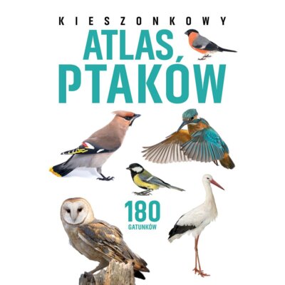 Kieszonkowy atlas ptaków. 180 gatunków Jan Król