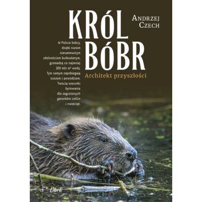 Król bóbr. Architekt przyszłości Andrzej Czech