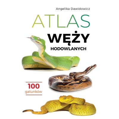 Atlas węży hodowlanych. 100 gatunków Angelika Dawidowicz