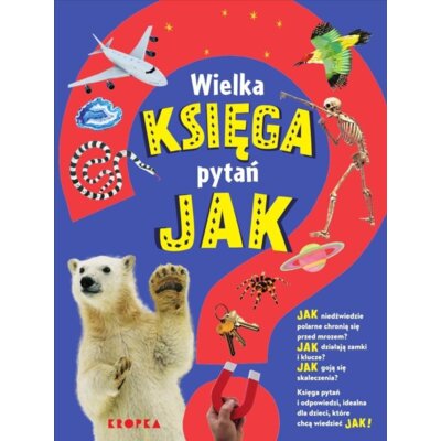 Wielka księga pytań Jak Sally Symes
