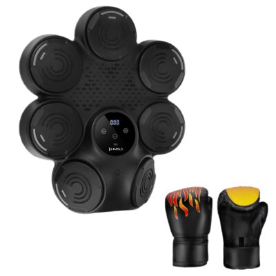 Zestaw bokserski HMS TB30