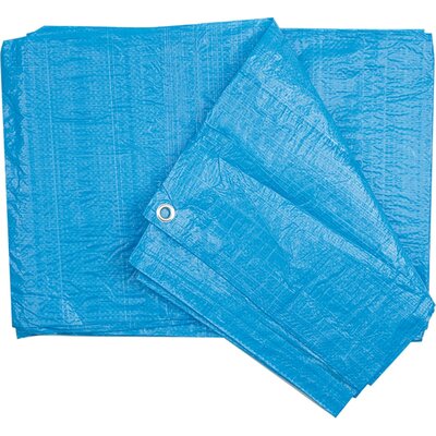 Plandeka VOREL 85020 (2 x 3 m)