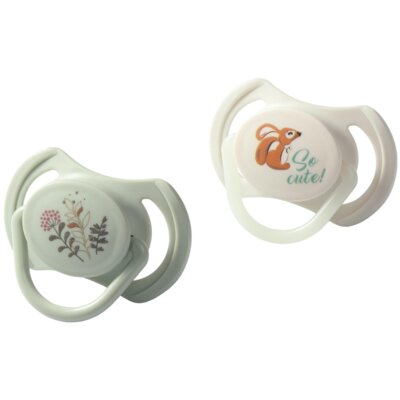 Smoczek BABYONO 1669/02 6-18 m Zielony (2 sztuki)