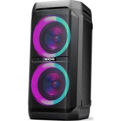 Power Audio W-KING T11