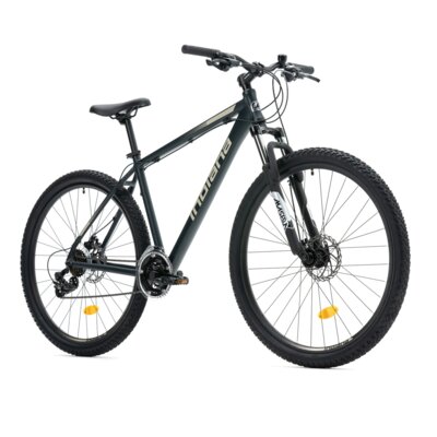 Rower górski MTB INDIANA X-Pulser 1.9 M17 29 cali męski Grafitowo-beżowy