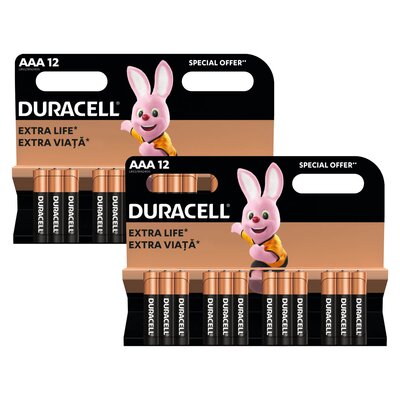 Baterie AAA LR3 DURACELL Basic (24 szt.)
