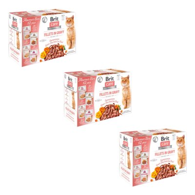 Karma dla kota BRIT CARE Fillets in Gravy Flavour box pouch 36 x 85 g