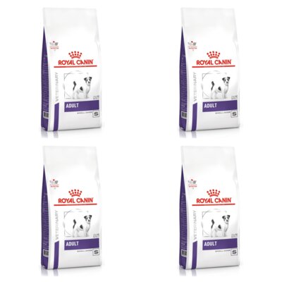 Karma dla psa ROYAL CANIN Adult Small Dog 4 x 8 kg