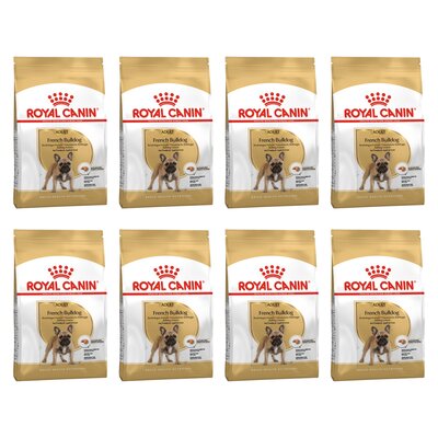 Najlepsze karmy dla Buldoga Francuskiego (problemy z gazami i skórą)