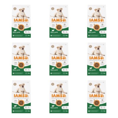 Karma dla psa IAMS For Vitality Adult Large Breed Lamb 9 x 3 kg