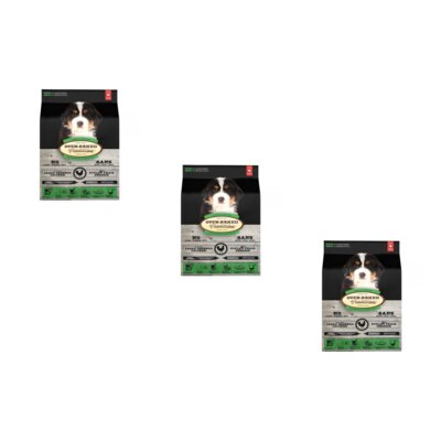 Karma dla psa OBT Dog Food Puppy Large Breed Kurczak 3 x 11.34 kg