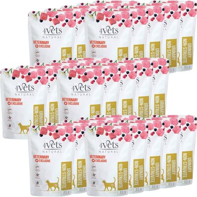 Karma dla kota 4VETS NATURAL Urinary Non-struvite Indyk z jagnięciną 30 x 85 g
