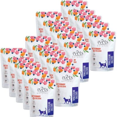 Karma dla kota 4VETS NATURAL Gastro Intestinal Indyk 20 x 85 g