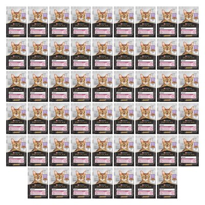Karma dla kota PURINA Pro Plan Delicate Indyk 52 x 85 g