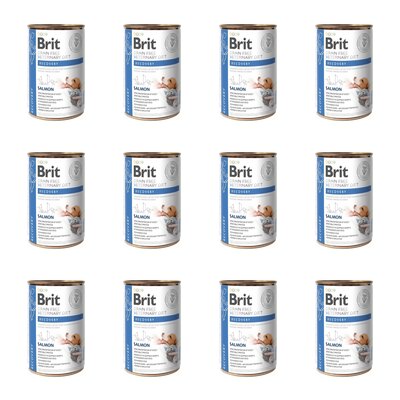 Karma dla psa BRIT Grain Free Veterinary Diets Dog & Cat Recovery Łosoś 12 x 400 g