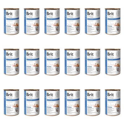 Karma dla psa BRIT Grain Free Veterinary Diets Dog & Cat Recovery Łosoś 18 x 400 g