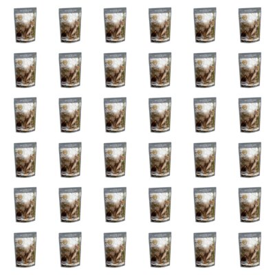 Karma dla kota TASTE OF THE WILD Senior Cat Kurczak 36 x 85 g