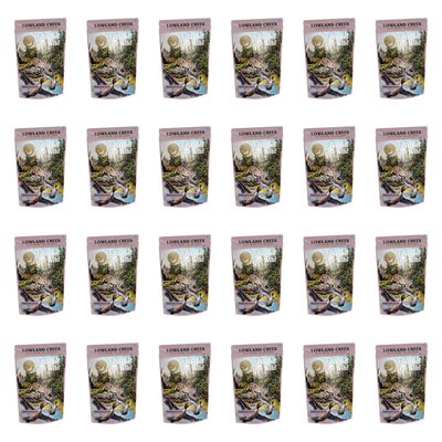 Karma dla kota TASTE OF THE WILD Lowland Creek Indyk z kurczakiem i kaczką w sosie 24 x 85 g