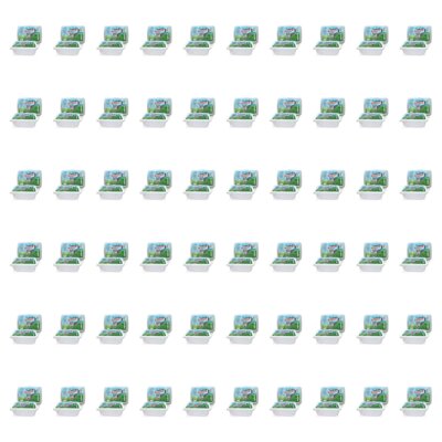 Trawa dla kota SUPER BENEK 10319 60 x 150 g