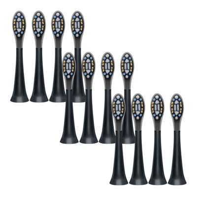 Oryginalna końcówka szczoteczki BEURER Premium Plaque Ersaer (12 sztuk) (Czyszczenie trudno dostępnych miejsc)