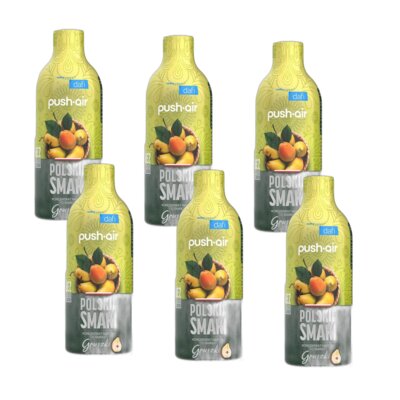 Syrop do saturatorów DAFI Pushair Polskie Smaki Gruszka bez cukru 6 x 500 ml
