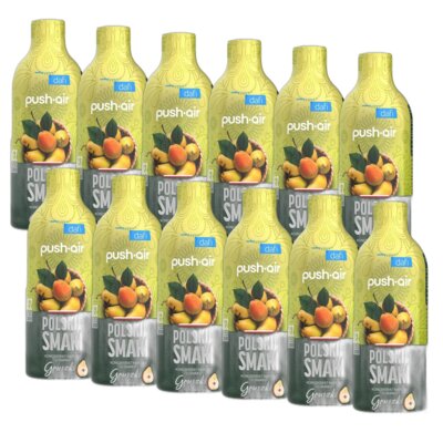 Syrop do saturatorów DAFI Pushair Polskie Smaki Gruszka bez cukru 12 x 500 ml