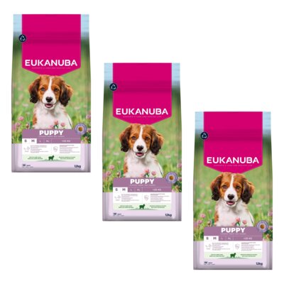Karma dla psa EUKANUBA Puppy Small and Medium Breed Jagnięcina 3 x 12 kg