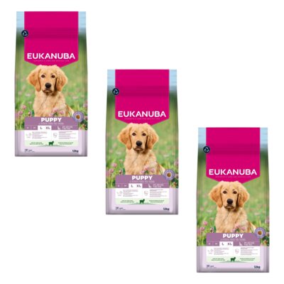 Karma dla psa EUKANUBA Puppy Large Breed Jagnięcina 3 x 12 kg