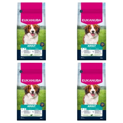 Karma dla psa EUKANUBA Adult Small and Medium Breed Jagnięcina 4 x 12 kg