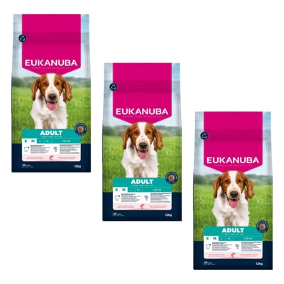 Karma dla psa EUKANUBA Adult Small and Medium Breed Łosoś 3 x 12 kg