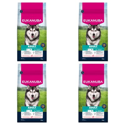 Karma dla psa EUKANUBA Adult Large Breed Łosoś 4 x 12 kg