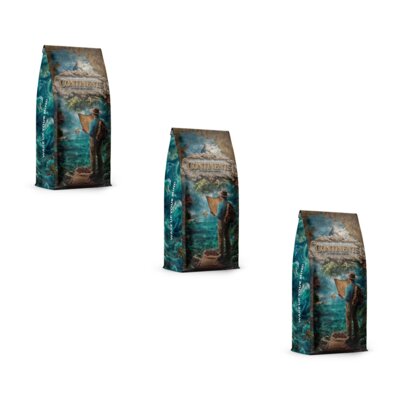 Kawa ziarnista BLUE ORCA COFFEE Continents 2 Latin America & Africa 3 x 1 kg
