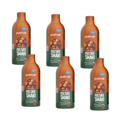 Syrop do saturatorów DAFI Pieczone Jabłko z cynamonem 6 x 500 ml