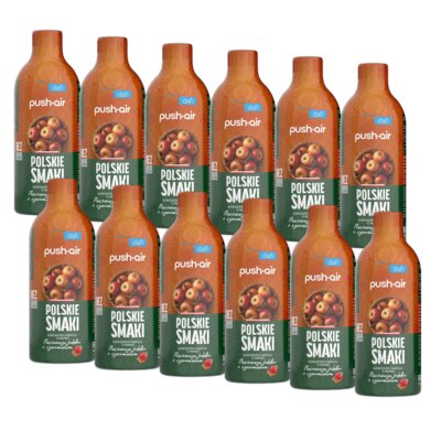 Syrop do saturatorów DAFI Pieczone Jabłko z cynamonem 12 x 500 ml