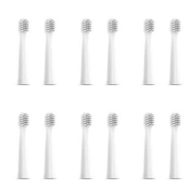 Oryginalna końcówka szczoteczki NENO Pulito (12 szt.) (Delikatna dla zębów)