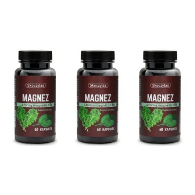 Magnez SKOCZYLAS 4 Formy Magnezu + B6 (3 x 60 kapsułek)