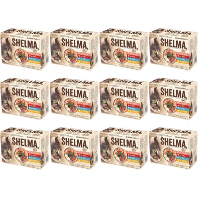 Karma dla kota SHELMA Mix Smaków 144 x 85 g