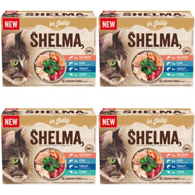 Karma dla kota SHELMA Garaletka Mix Smaków 48 x 85 g