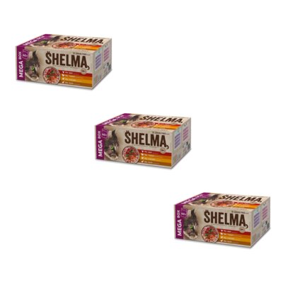 Karma dla kota SHELMA Mix Smaków 120 x 85 g