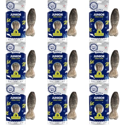 Przysmak dla psa BALTICA Junior Omega-3 Kość z dorszem 9 x 60 g