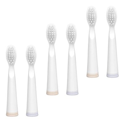 Końcówka szczoteczki ŁUCZNIK SG-010 (6 sztuk)