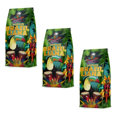 Kawa ziarnista BLUE ORCA COFFEE Brazilliana Toucano 3 x 1 kg