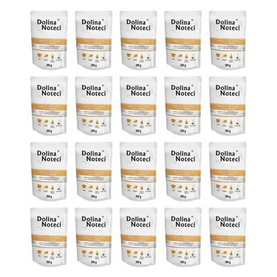 Karma dla psa DOLINA NOTECI Premium z bażantem, dynią i makaronem 20 x 100 g