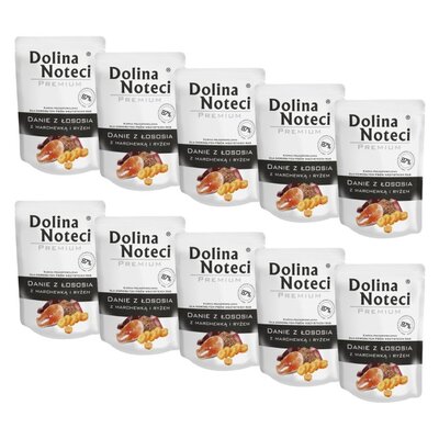 Karma dla psa DOLINA NOTECI Premium Danie z łososia z marchewką i ryżem 10 x 300 g