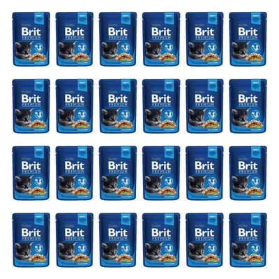 Karma dla kota BRIT Premium Kurczak 24 x 100 g