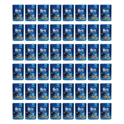 Karma dla kota BRIT Premium Kurczak 48 x 100 g